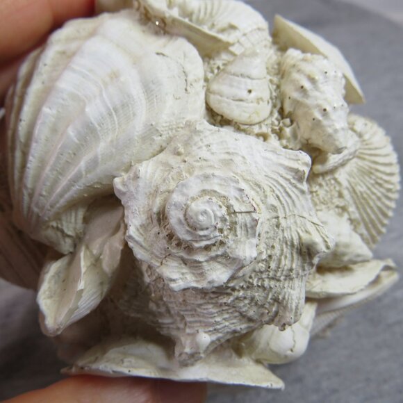 Faux Sea Shell Ball - Orb - Round Coastal Decoration 13" round - Picture 3 of 10